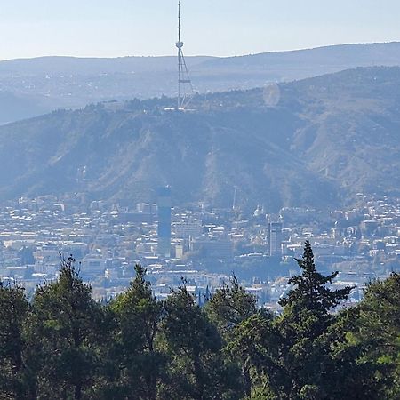 Apartament Уиут Ниниа Сад Tbilisi Zewnętrze zdjęcie