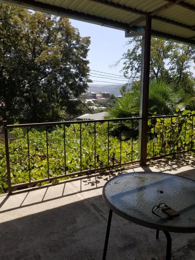 Apartament Уиут Ниниа Сад Tbilisi Zewnętrze zdjęcie